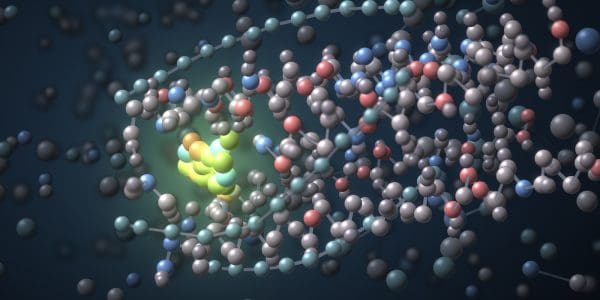 A ligand seated in a binding pocket on a protein