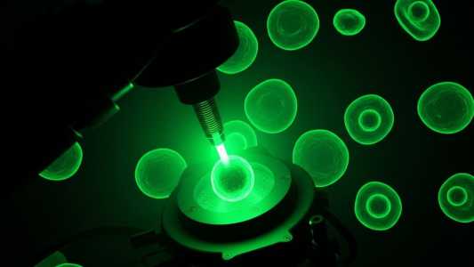 Dr. Mzyk to Use Quantum Sensors to Track Cancer Cell Metabolism
