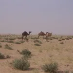 The Middle East’s first quantum supercomputer arrives in Abu Dhabi for development