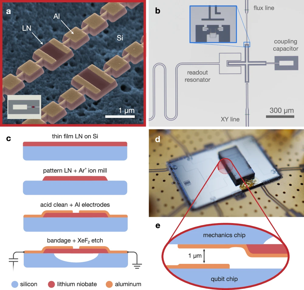 Quantum Sensor Study Enhances Understanding of Phonon Coherence, Aids Quantum Tech Development