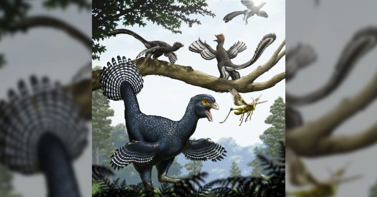 Simulated Dinosaurs Show Wings First Lured Insects To Prey