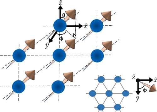 Quantum Simulators Reveal New Insights into Order by Disorder Effect, Dipolar Bosonic Model