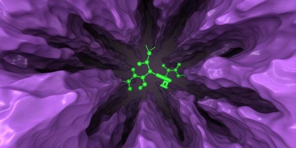 Drug discovery pipeline from molecular screening to clinical testing