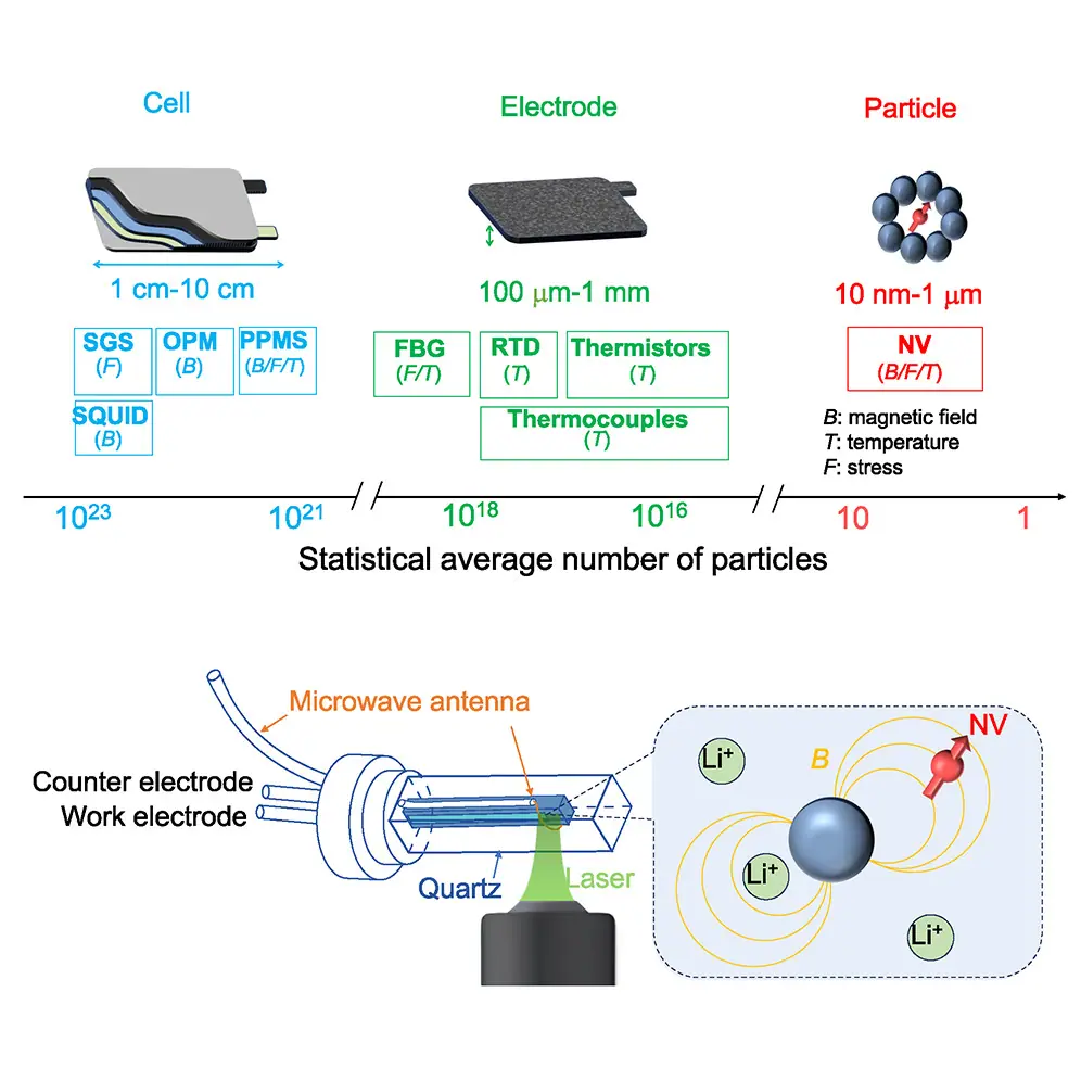 Quantum Sensors Capture Nanoscale Battery Evolution in Real-Time