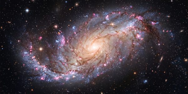 A face-on spiral galaxy