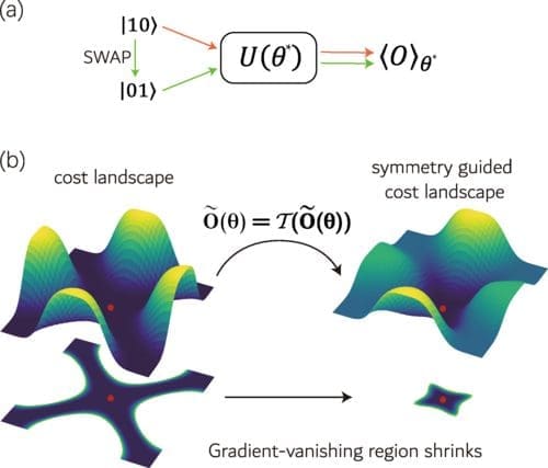 Quantum Neural Networks Get Boost from Symmetry Constraints