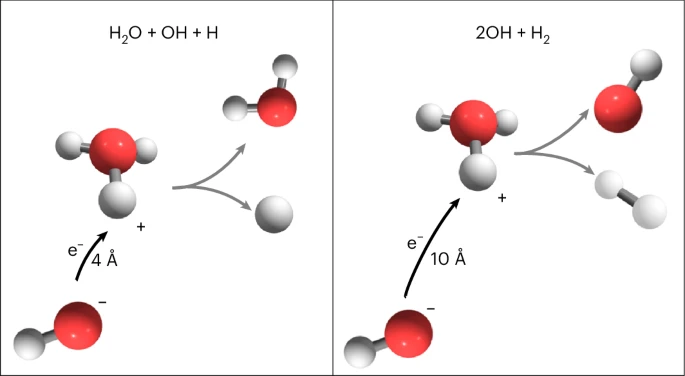 Cryogenic Ion Storage Rings for Molecular Dynamics Studies