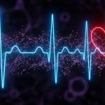 UMass Amherst Reveals “Leaky” Potassium Channel Behavior, Advancing Understanding of Body’s Electrical System