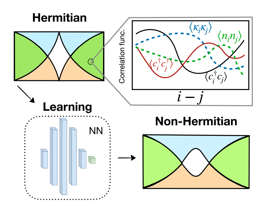 Machine Learning Unlocks New Avenues in Quantum Many-Body Physics, Study Finds