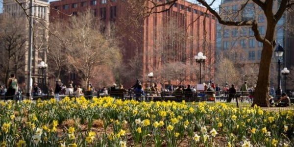 IBM Quantum Network Adds NYU for Quantum Computing Collaboration