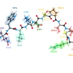 IBM and Cleveland Clinic Demonstrate Protein Simulation with Quantum Computing