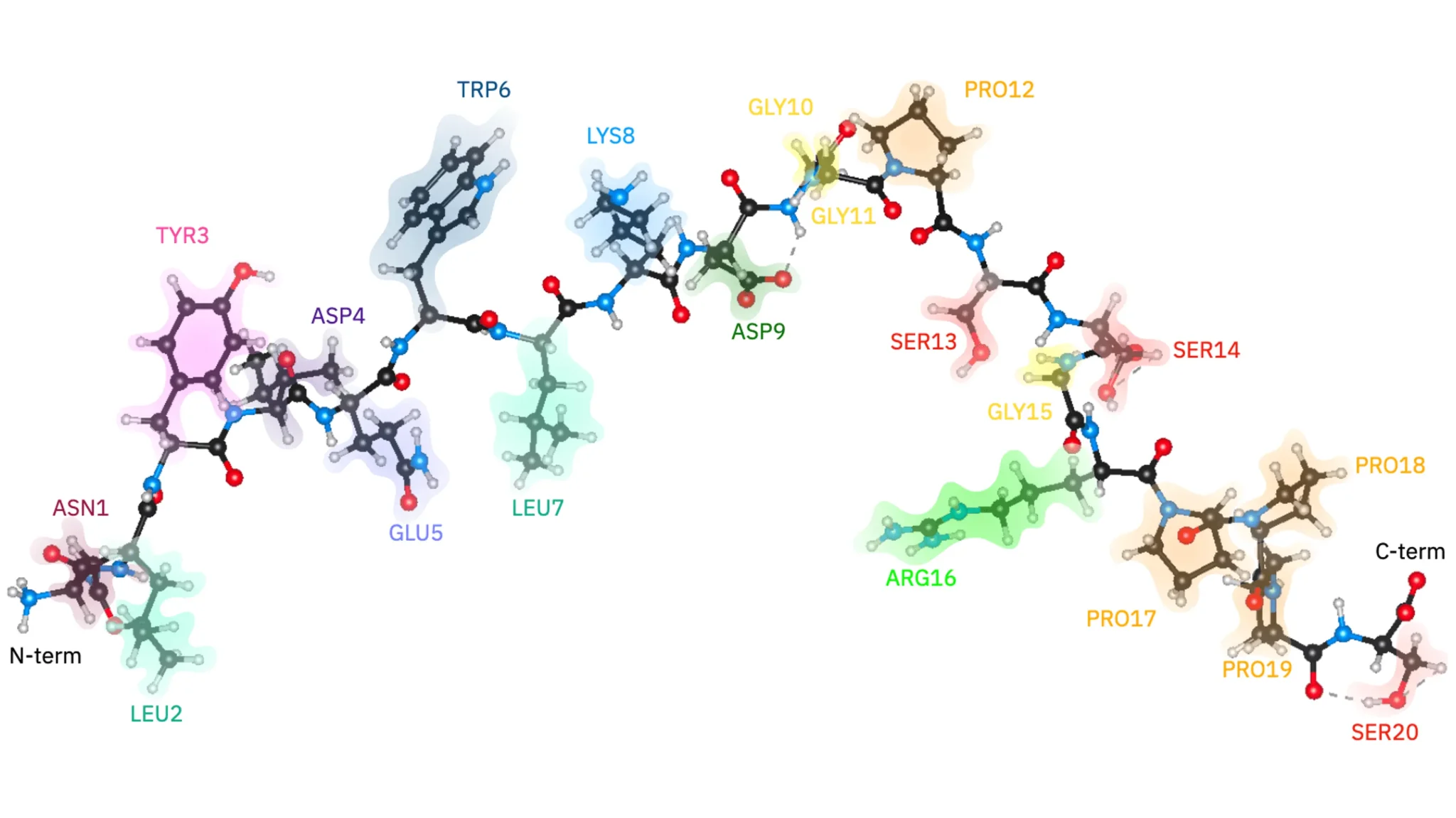 IBM and Cleveland Clinic Demonstrate Protein Simulation with Quantum Computing