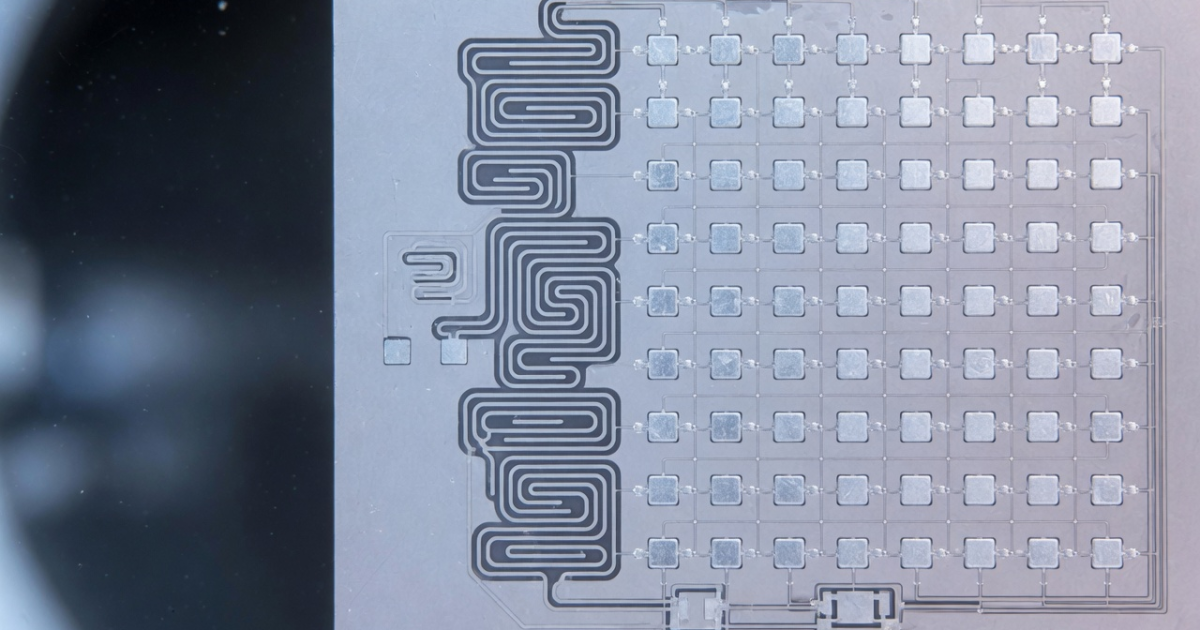 Quantem Computer Qbits Entaglement Lighter Fluxonium Qubits Resist Readout Errors, Study Finds