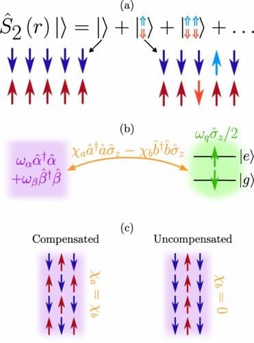 Quantum Sensing Breakthrough: Harnessing Antiferromagnets for Quantum Computing