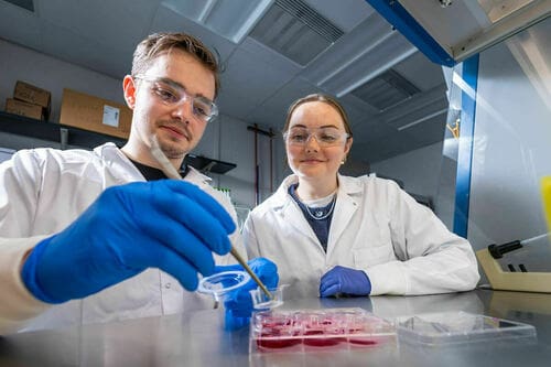 Notre Dame Researchers Link Chronic Compression to Neuron Death, Published in PNAS