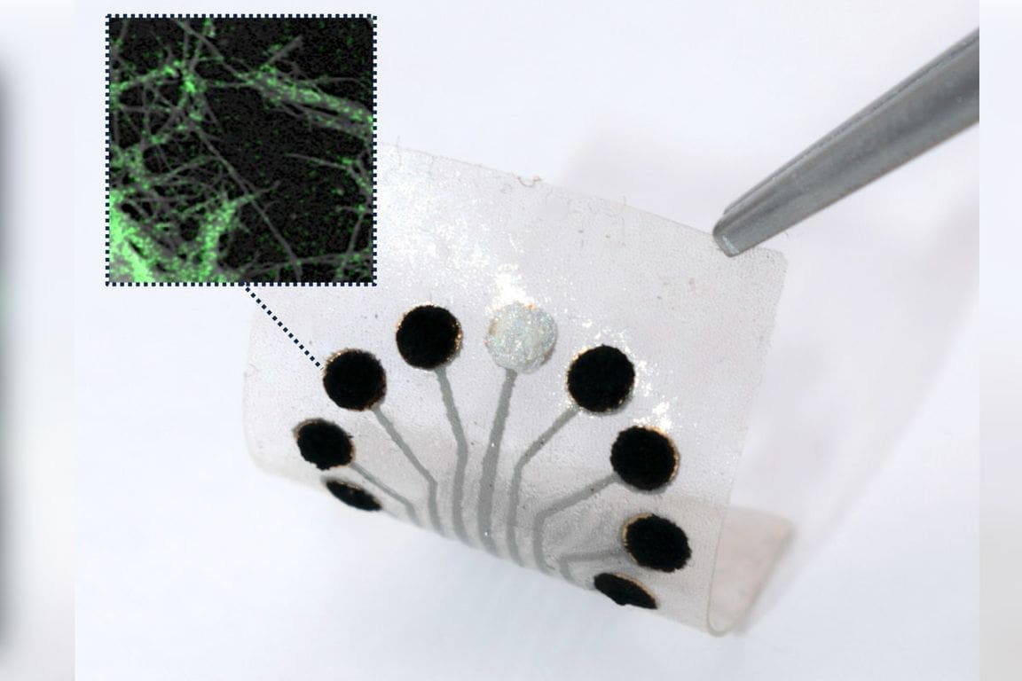 Revolutionary UCLA Sensor Technology Monitors Metabolism in Real Time, Transforming Disease Diagnosis and Treatment.