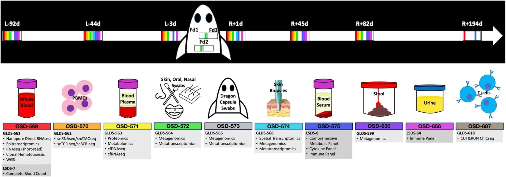 Space Travel's Human Health Impact: NASA Data Reveals Insights