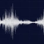 Single-Atom Amplifier Boosts Quantum Computer Readout Speeds Twofold