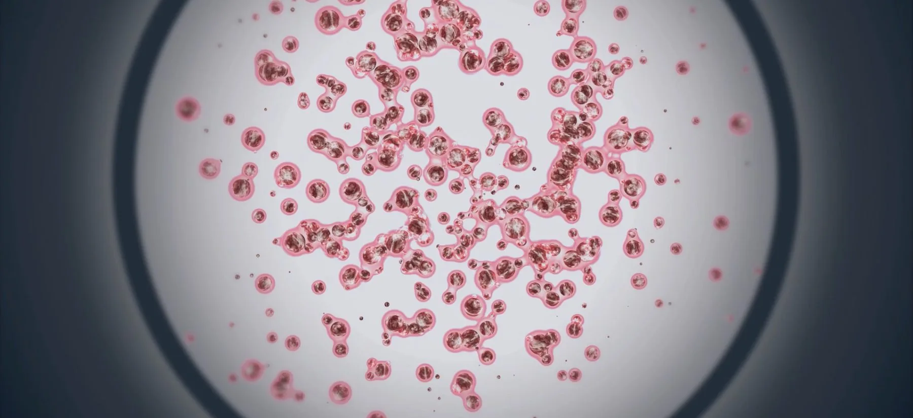 Novo Holdings Pledges €188M to Foster Quantum Tech Ecosystem, Aiming to Revolutionise Life Sciences