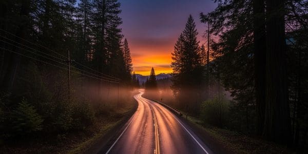 A wet winding road through pine forest leads toward a glowing orange sunset