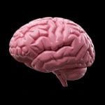 TII at Davos 2026: System-Level Thinking is Key to Deep Tech Trust