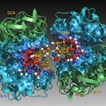 Qubit Pharmaceuticals Announces 15-30x Speedup in Relative Binding Free Energy Calculations