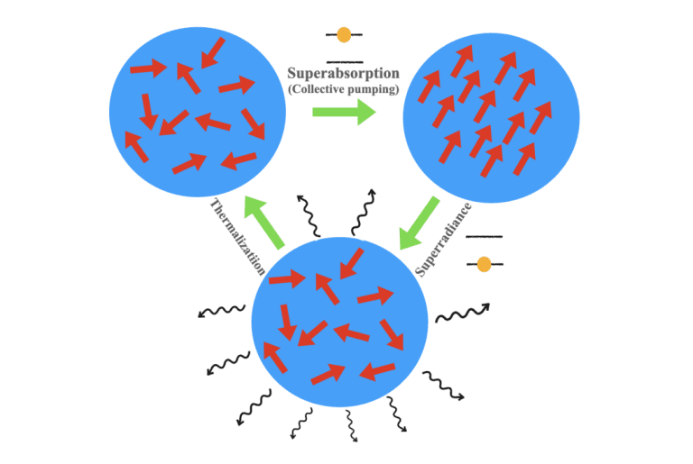 Diagram illustrating superabsorption and superradiance in a collective quantum system, showing aligned dipoles enhancing absorption and emission with thermalization effects.