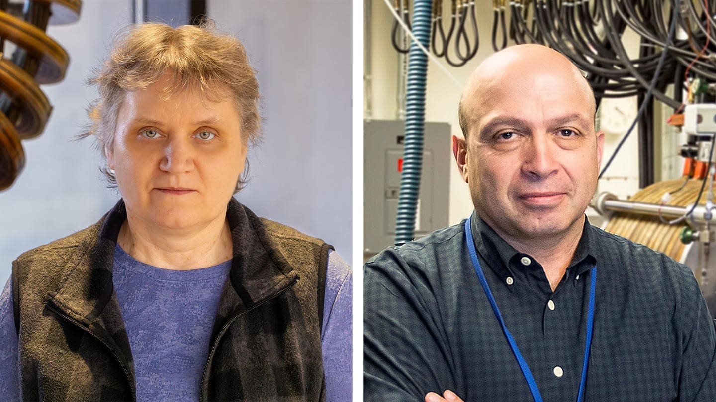 Plasma Physics Researchers Honored