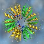 New Manuscripts Showcase Quantum-Si’s Benchtop Protein Sequencing Platform, Validated by Journal of Analytical Chemistry & US Naval Research Laboratory