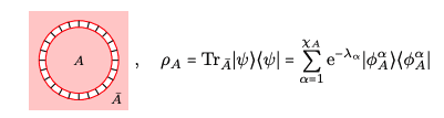 Topological States Reveal Hidden Order via Anomalous Edge Behaviour.