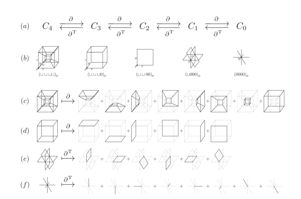 4D loop-only toric code. (a) Chain complex on a 4D hypercubic lattice with vector spaces Ck of k-cells (k = 0,...,4) connected by boundary (∂) and coboundary (∂⊤) operators. (b) Cell notation: coordinates show dimensions fixed at 0 or spanning an interval (⊔) from reference point p. (c) Each 4-cell boundary has eight 3-cells whose Z-stabilizer product equals identity (redundancy). (d) Each 3-cell boundary has six 2-cells where the Z-stabilizer acts on qubits. (e) Coboundary of a 1-cell gives six 2-cells defining X-stabilizer support. (f) Coboundary of a 0-cell yields eight 1-cells, creating X-stabilizer redundancy.