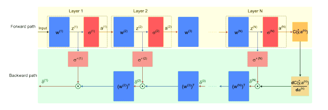 On-chip learning boosts performance of integrated photonic neural networks.