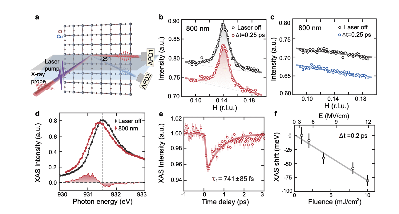 Ultrafast Laser Control Reveals Charge Order Dynamics in High-Temperature Superconductors