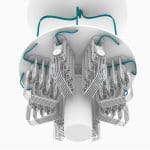 QphoX Enables Quantum Information Transfer Through Optical Fiber Networks