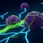 Quantum Gases Now Exhibit Supersolidity through Controlled Barrier Sweeps