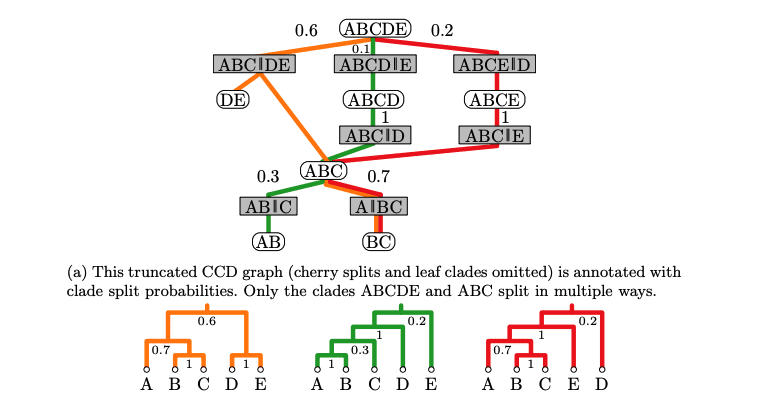 Bayesian Phylogenetics: New Methods Define Credible Tree Topologies Efficiently