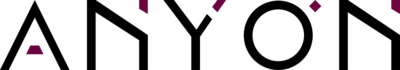 Anyon Systems superconducting quantum computing vendor