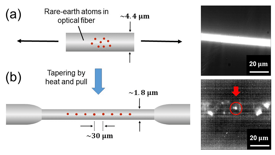 Ytterbium-Doped Fibers Could Revolutionise Quantum Tech with Single Photon Source
