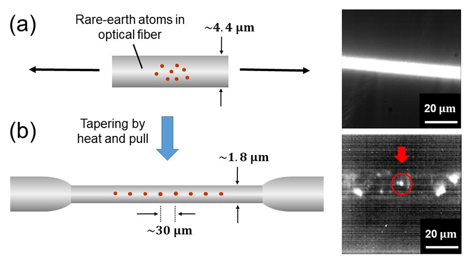 Ytterbium-Doped Fibers Could Revolutionise Quantum Tech with Single Photon Source