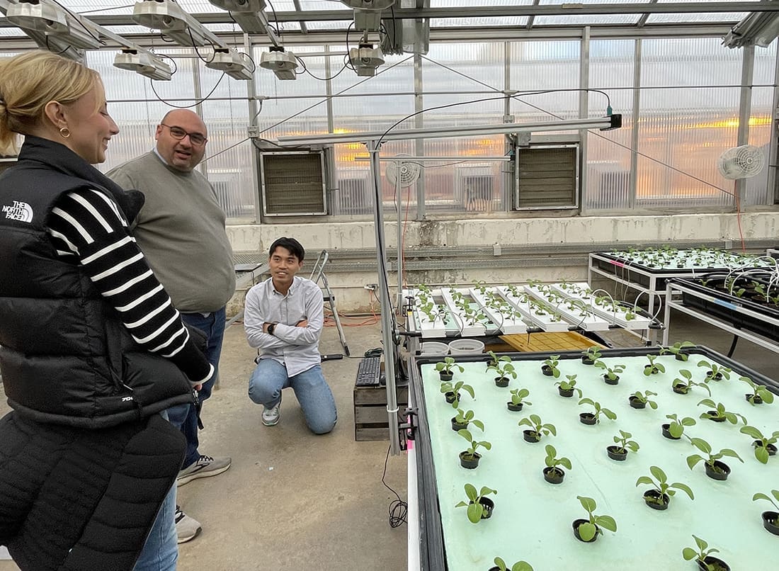 New Computer Vision System With Iot And AI Enhances Specialty Crops Monitoring In Greenhouses