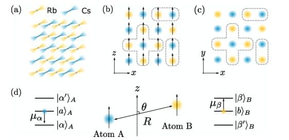 Strathclyde University Physicists Enhance Quantum Computation with Interspecies Interactions