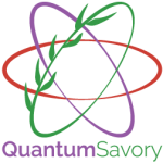 Quantumsavory Achieves Unified Simulation, Enabling Rapid Accuracy-Performance Tradeoffs for Computing and Networking