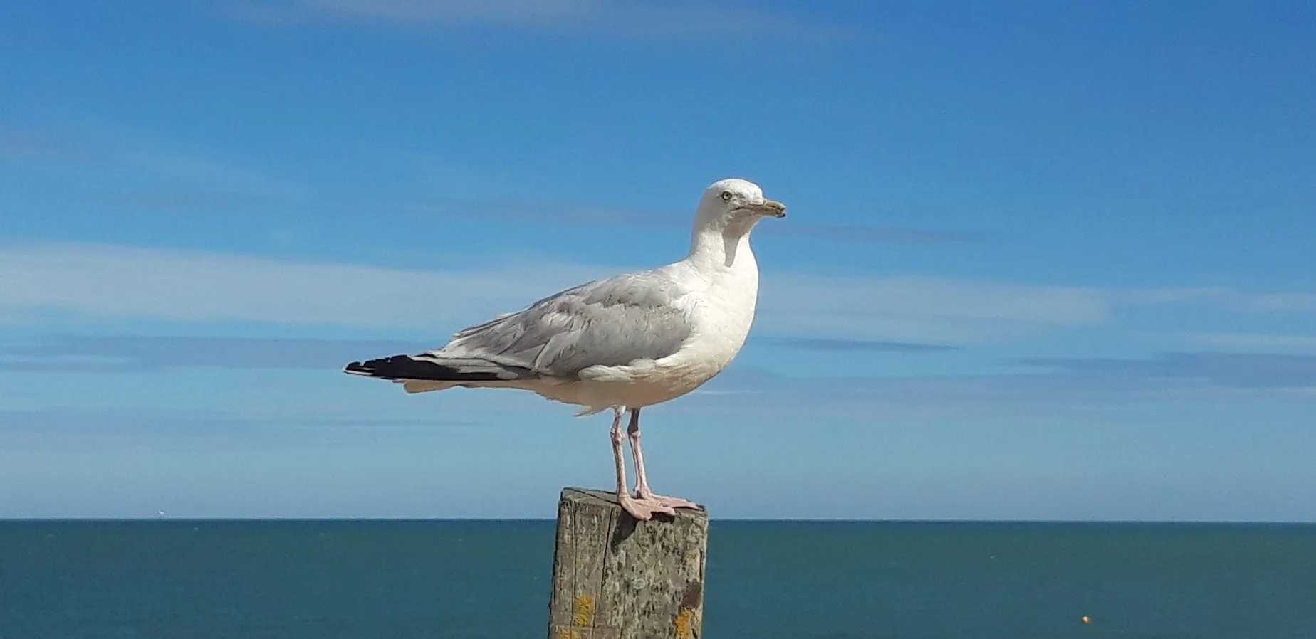 New Quantum Accelerator fund aimed at the UK