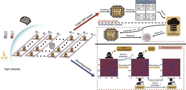 Spin-Based Chip Provides Robust Security Solution for IoT Devices Against Machine Learning Attacks