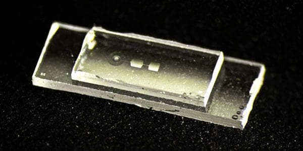 Tiny Vibrations Expand Quantum Memory, ETH Zurich Researchers Find