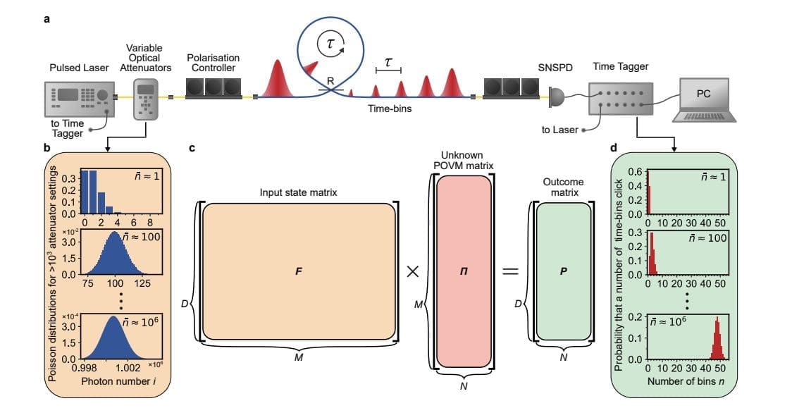 High-Performance Computing Enhances Quantum Detector Tomography, Aids Large-Scale Quantum Tasks