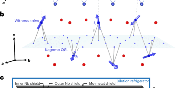 Witness Spins Transition to Spin Glass Phase at 260 Millikelvin