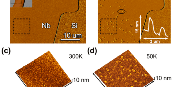 X-Ray Data Confirms Niobium Hydrides Limit Qubit Stability